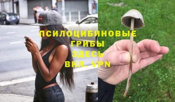 тгк Алексин