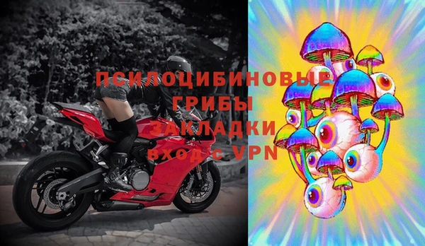 прущие крисы Алексеевка