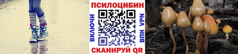 Псилоцибиновые грибы мицелий где купить наркоту Калтан